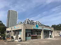 スタッフ募集